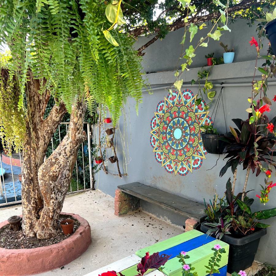 Casa Jardim Hostel Bh - Santa Efigenia - Paraiso Belo Horizonte Exteriör bild